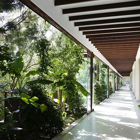 גולטורקבוקו The Lifeco Bodrum Well-Being Detox Center And Vegan Hotel (Adults Only) מראה חיצוני תמונה