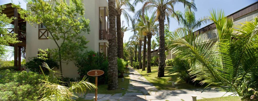 גולטורקבוקו The Lifeco Bodrum Well-Being Detox Center And Vegan Hotel (Adults Only) מראה חיצוני תמונה