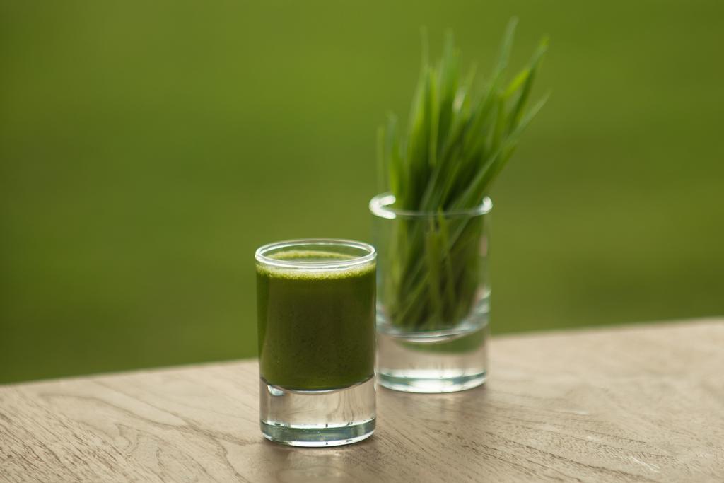 גולטורקבוקו The Lifeco Bodrum Well-Being Detox Center And Vegan Hotel (Adults Only) חדר תמונה