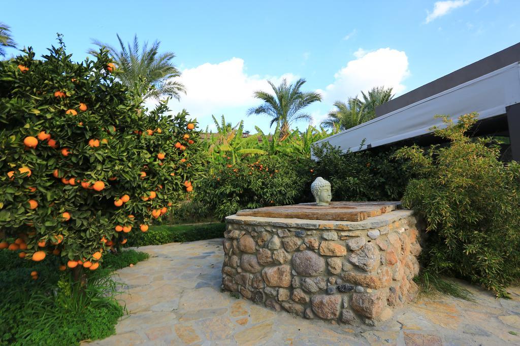 גולטורקבוקו The Lifeco Bodrum Well-Being Detox Center And Vegan Hotel (Adults Only) מראה חיצוני תמונה