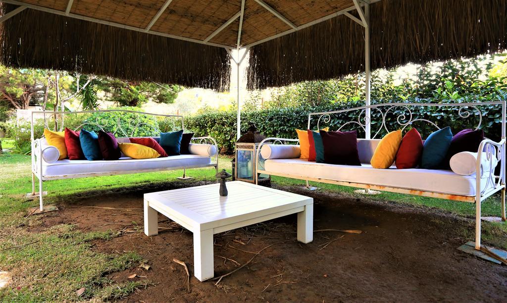 גולטורקבוקו The Lifeco Bodrum Well-Being Detox Center And Vegan Hotel (Adults Only) מראה חיצוני תמונה
