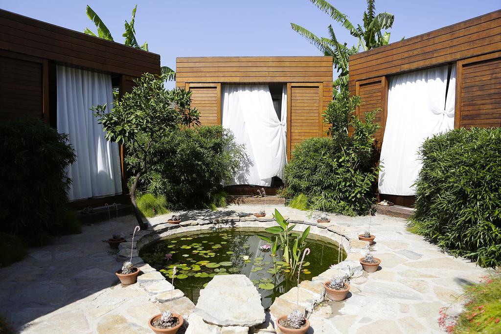 גולטורקבוקו The Lifeco Bodrum Well-Being Detox Center And Vegan Hotel (Adults Only) מראה חיצוני תמונה